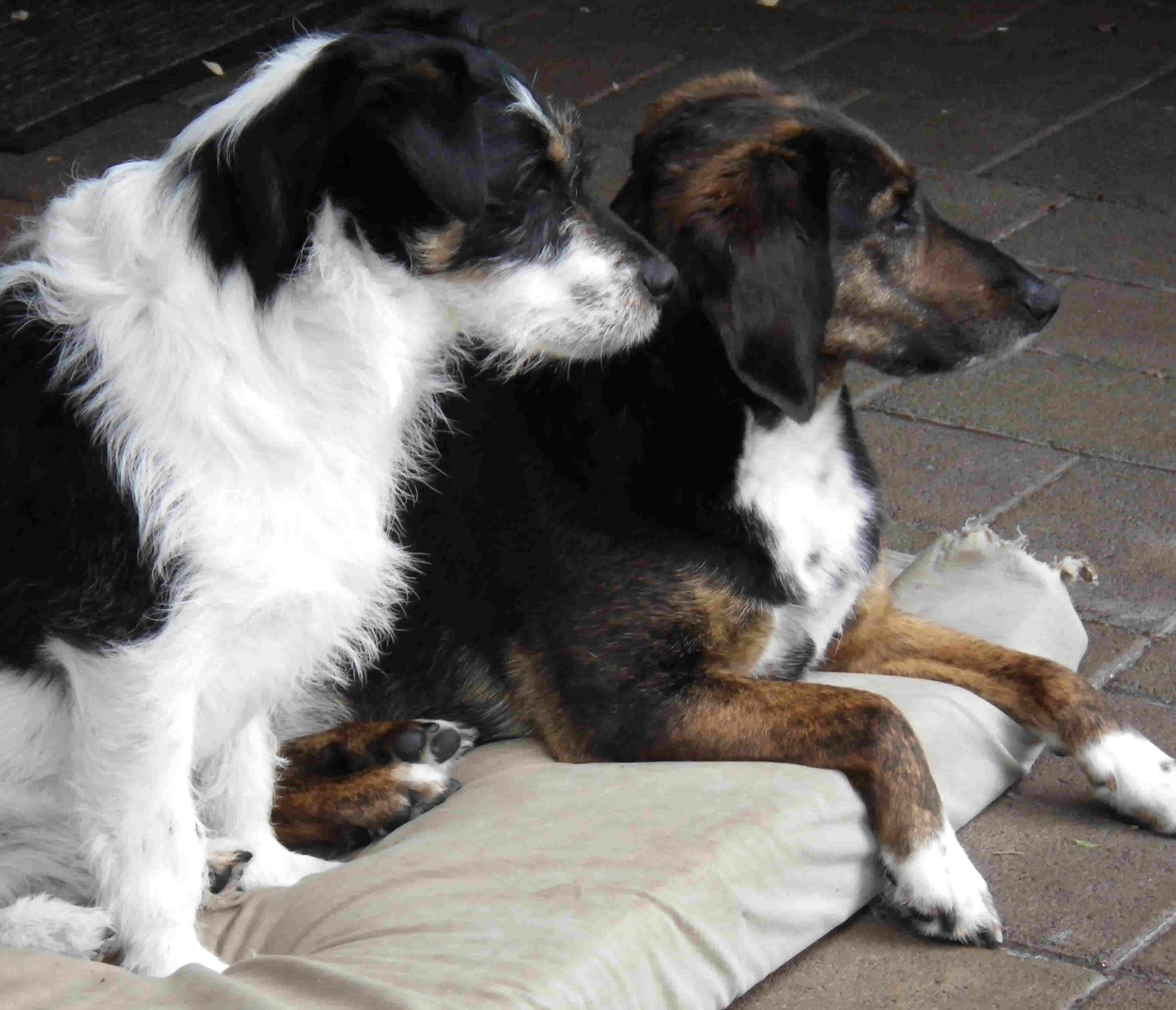 Marja und Boomer